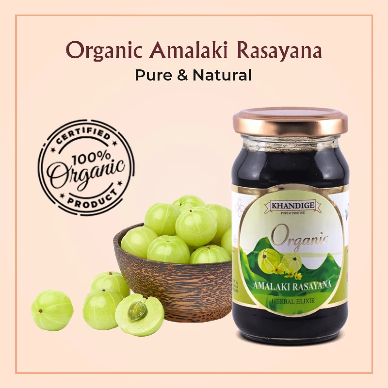 Khandige Organic Certified Amalaki Rasayana, 250 g-3.webp
